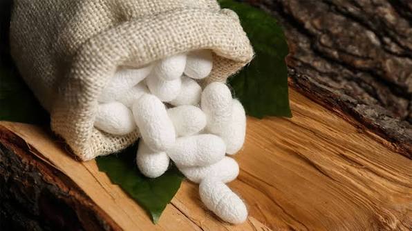 What Is Mulberry Silk? The Ultimate FAQ Guide
